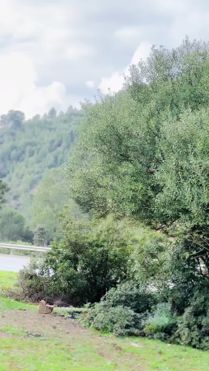 @Redouane Meghrane