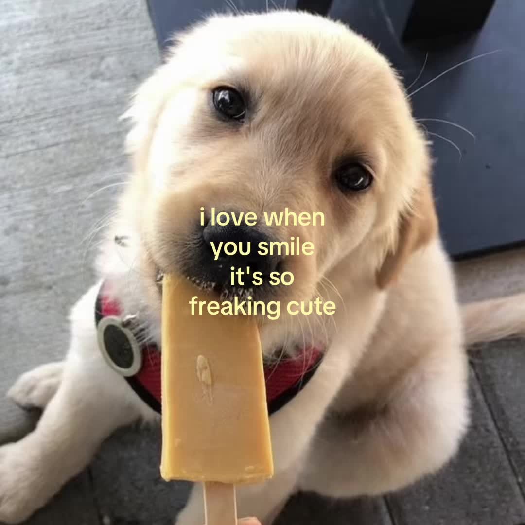 @motionsoflove
