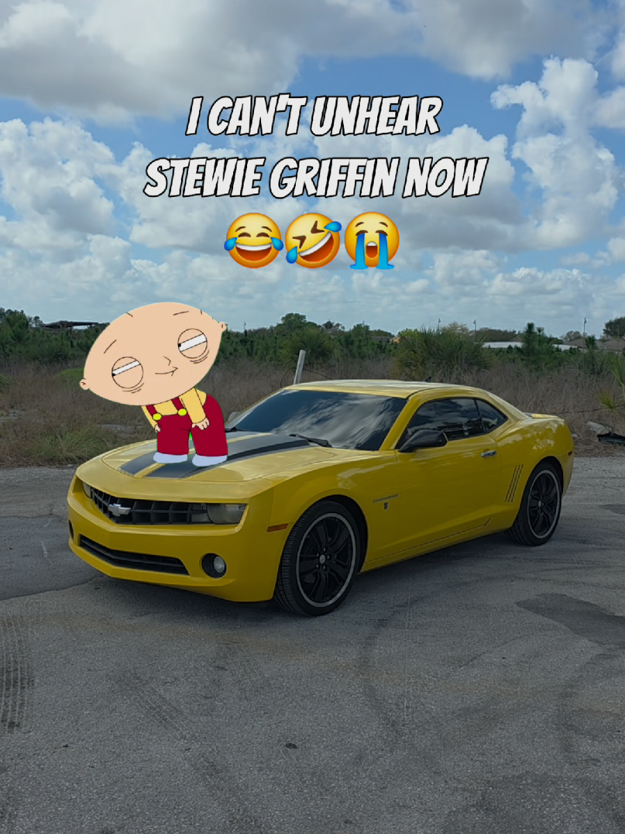 @Camaro Bee-127