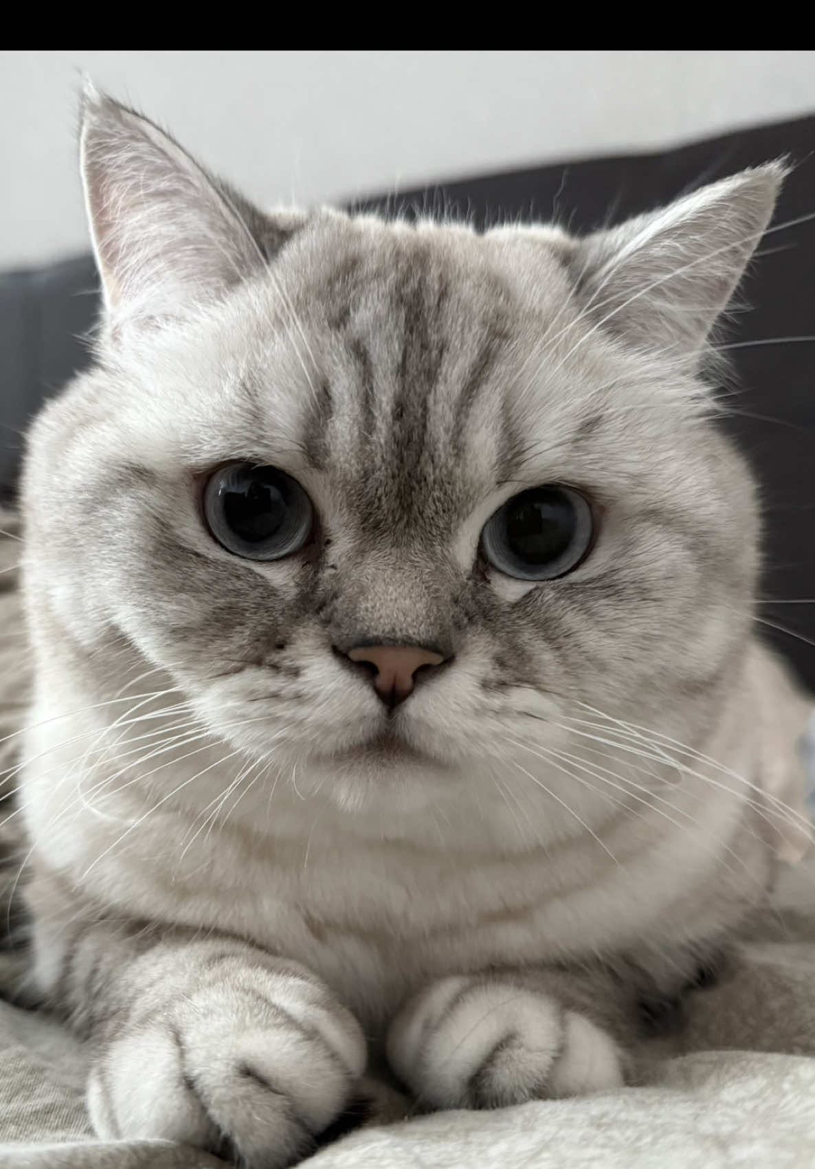 @Катенька♡