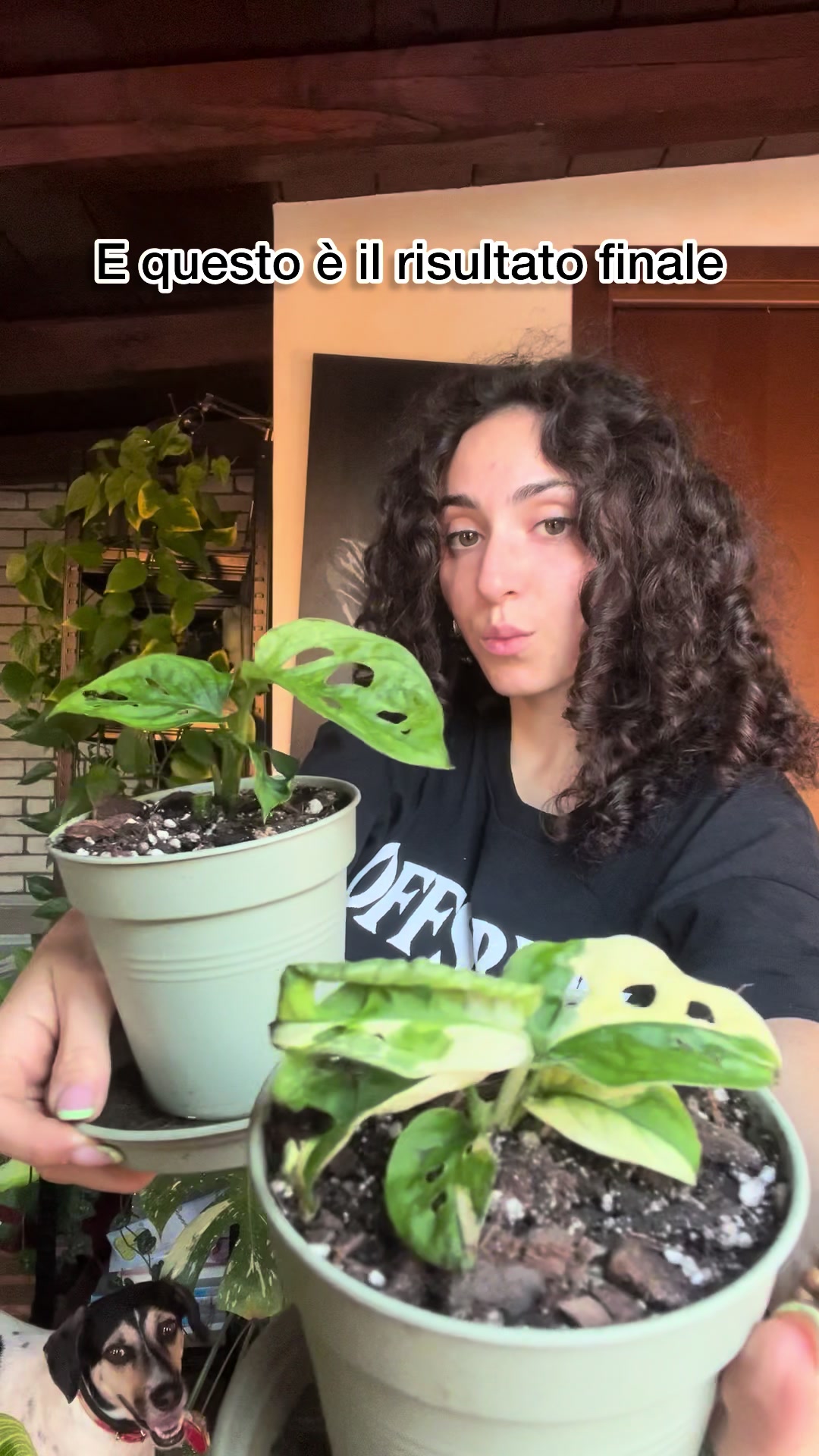 @Margherita Savasta