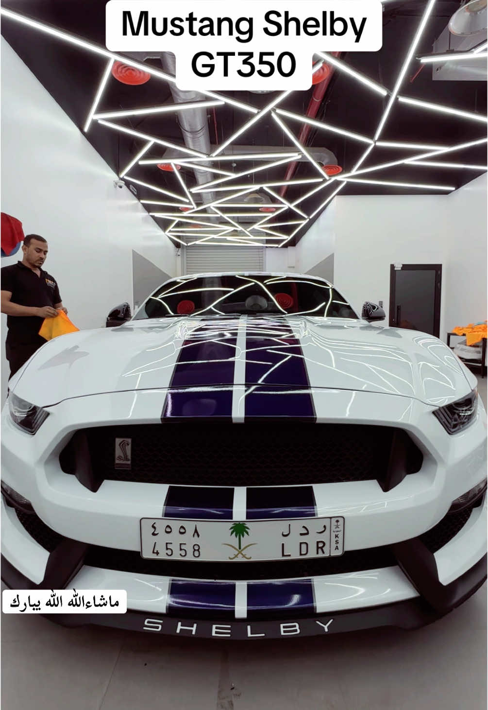 @F150-GT350