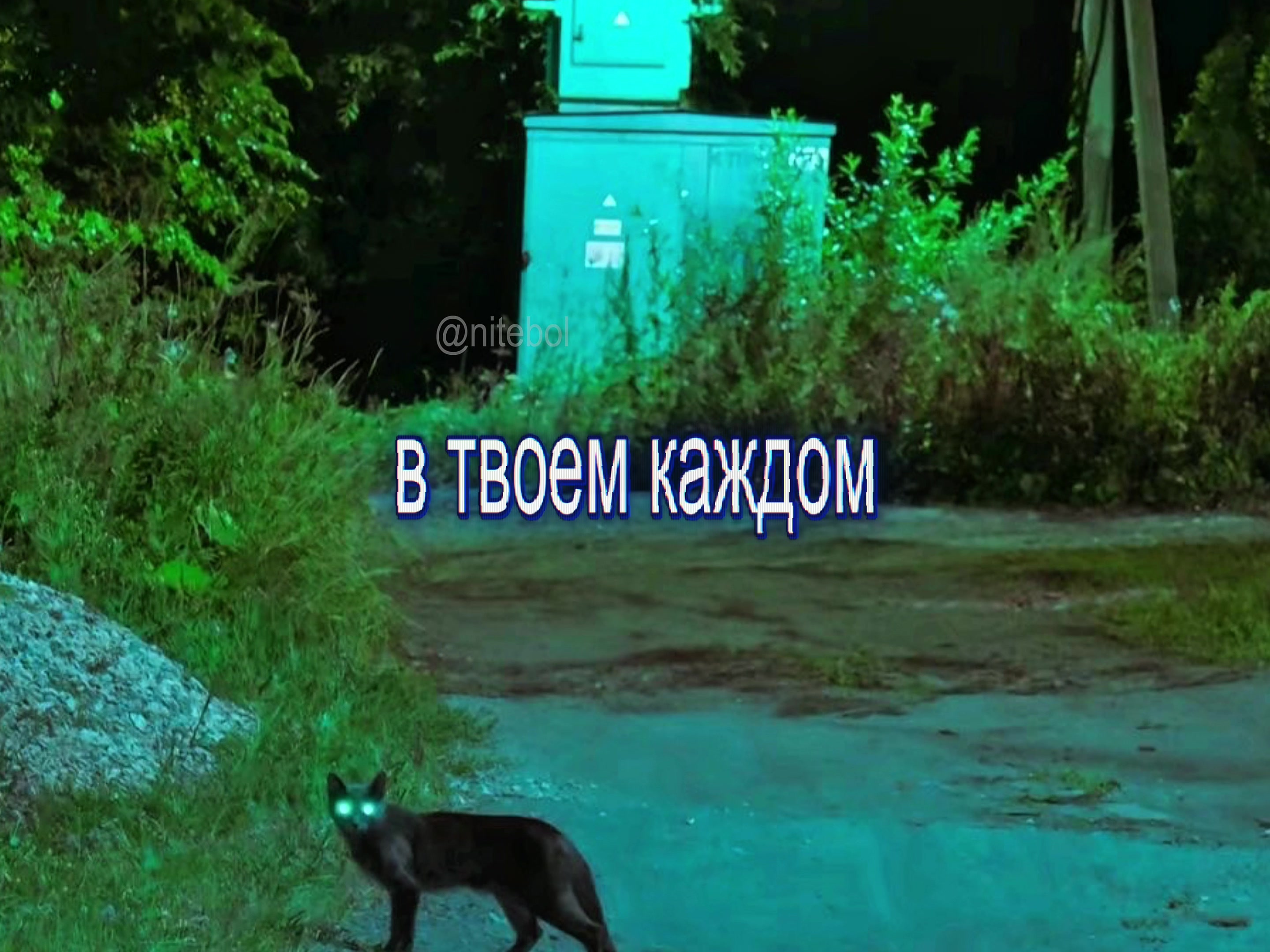 @папка с мамкой