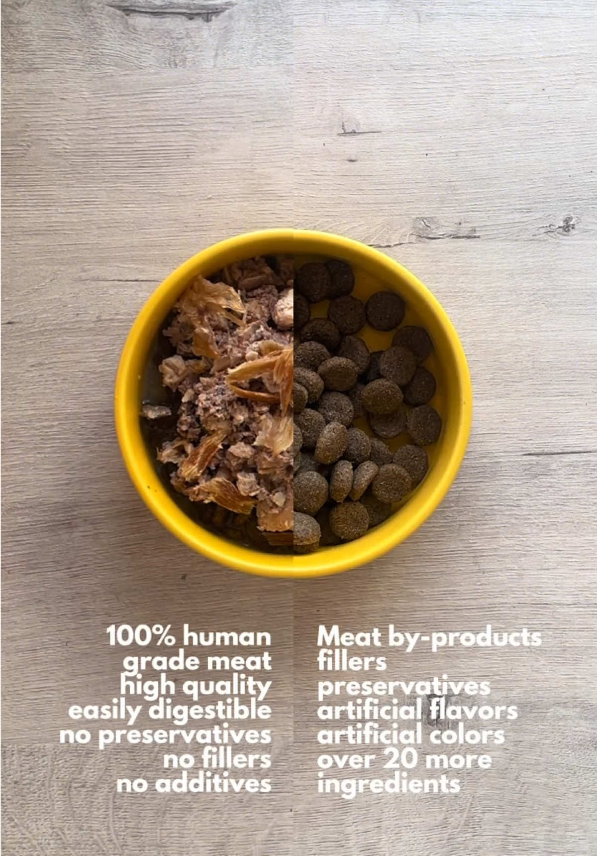 @paleopet.ph