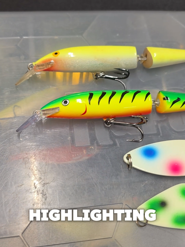 @FishingParadise