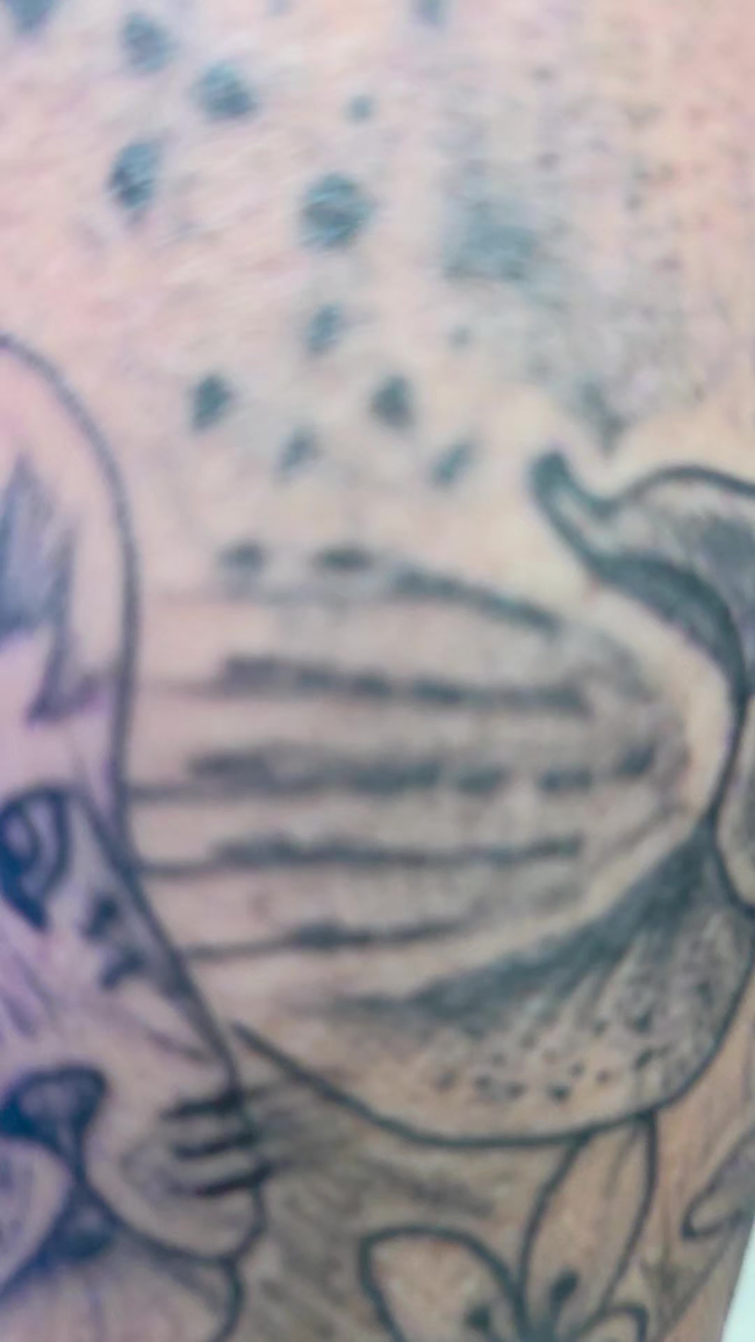 @tattoocultura