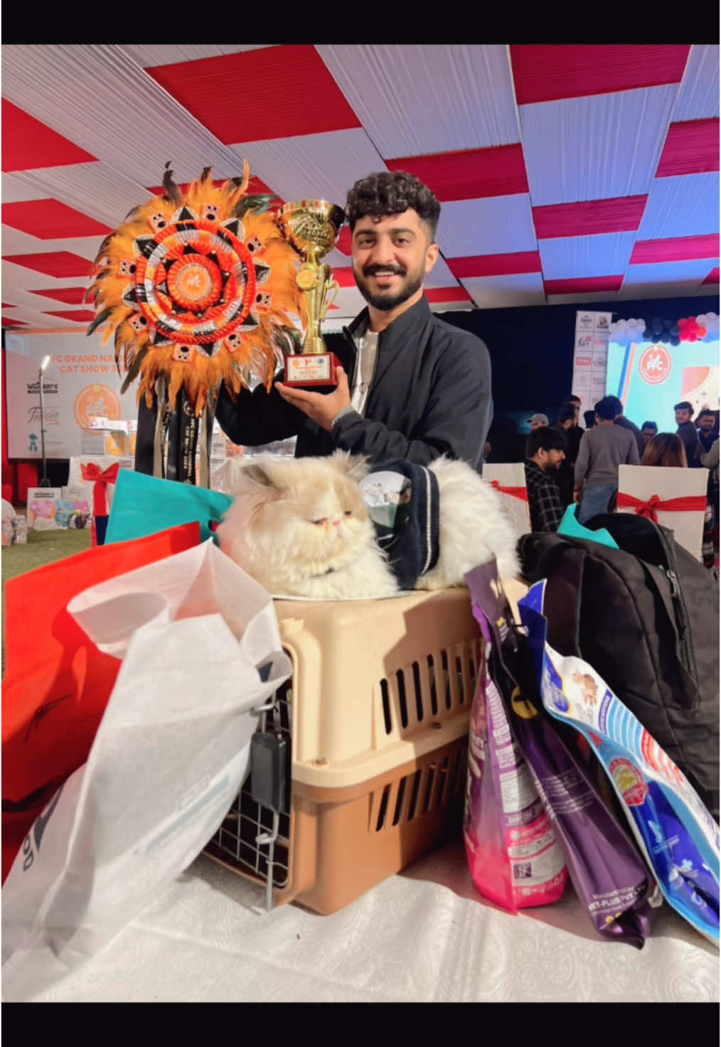 @karachikittens
