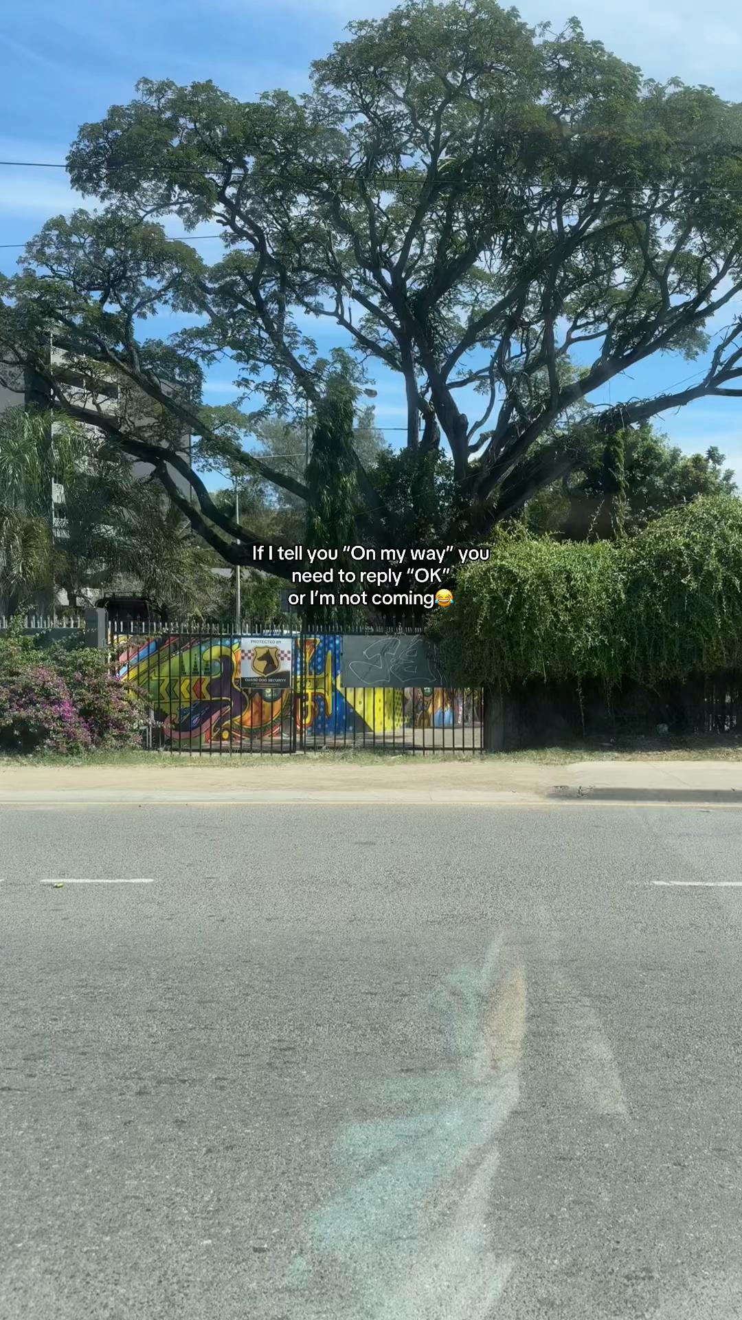 @7️⃣1️⃣7️⃣1️⃣🦋