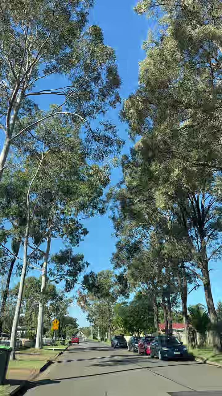 @rajasekharuni