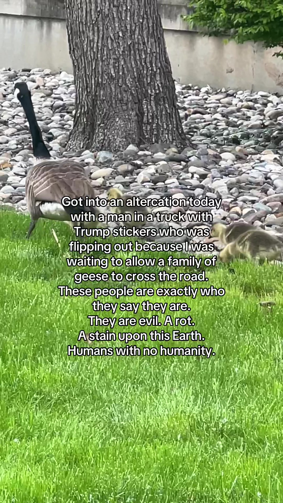 @Sara 🧸📜🦢🤎
