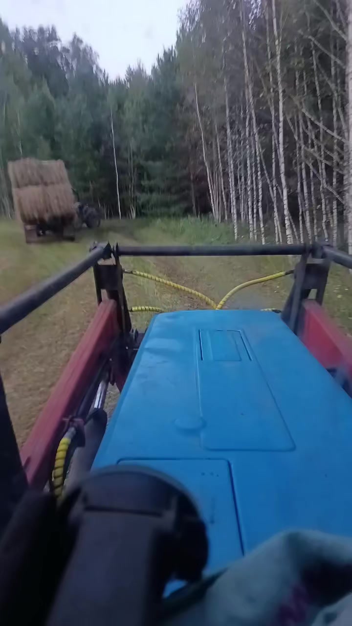 @55 Николайхрамов✌️✌️