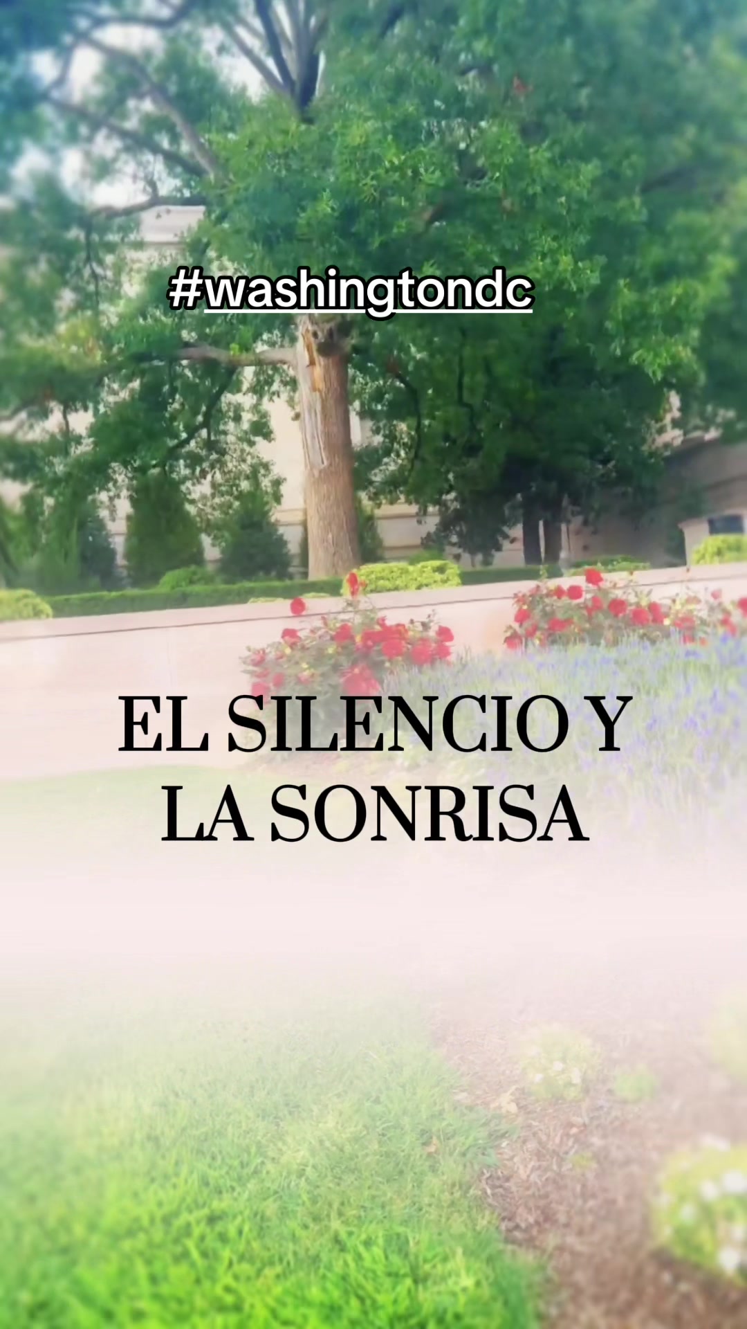 @Te espero en páginas no escrit