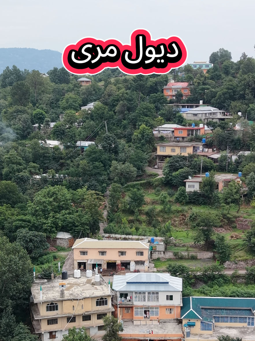 @Nishat abbasi