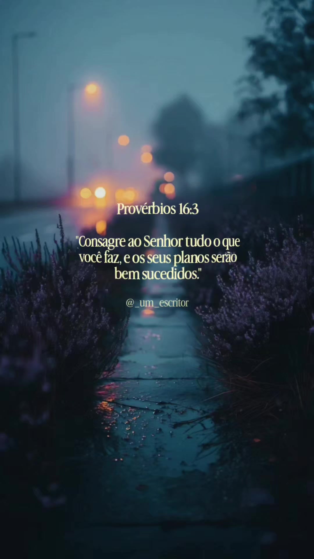 @_um_escritor