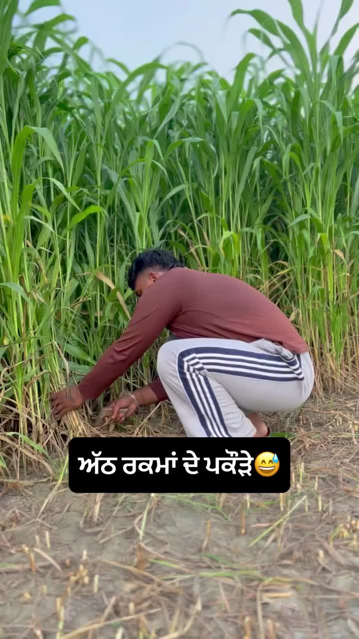 @☬ ਮੁੰਡਾ ਸਰਦਾਰਾਂ ਦਾ ☬🚩