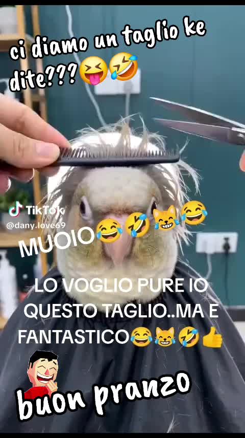 @adrybruno2