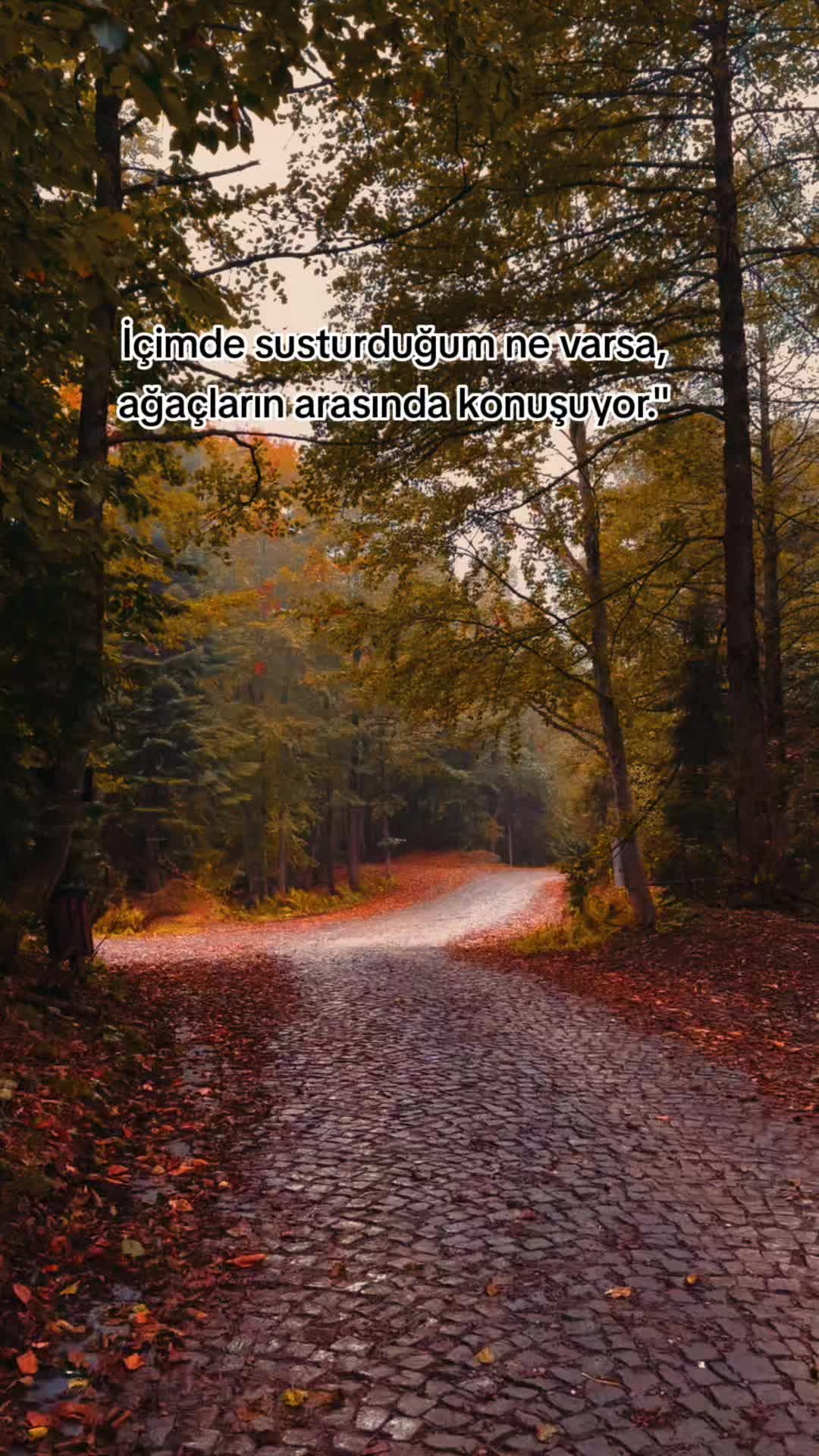 @Anlamlı Güzel Sözler
