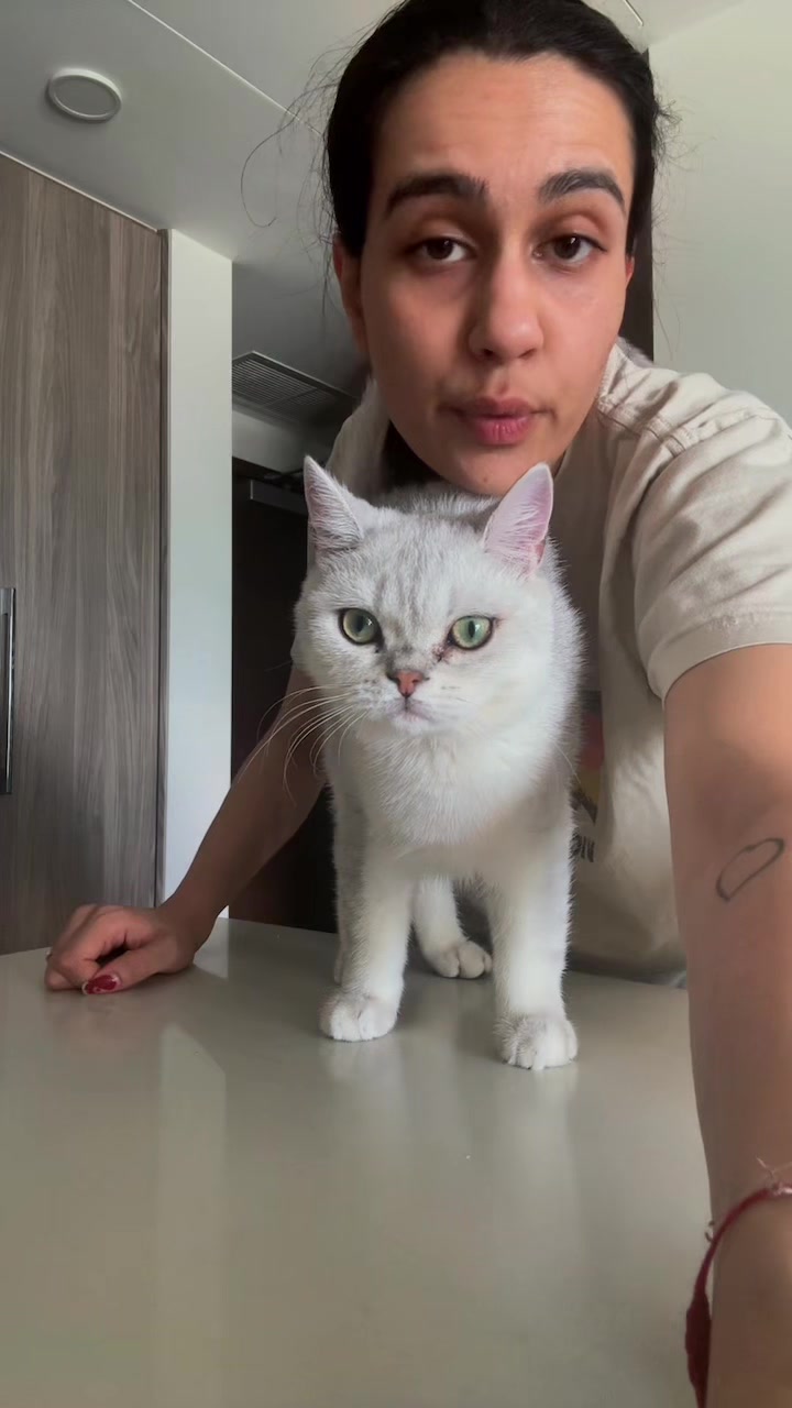 @BomBae