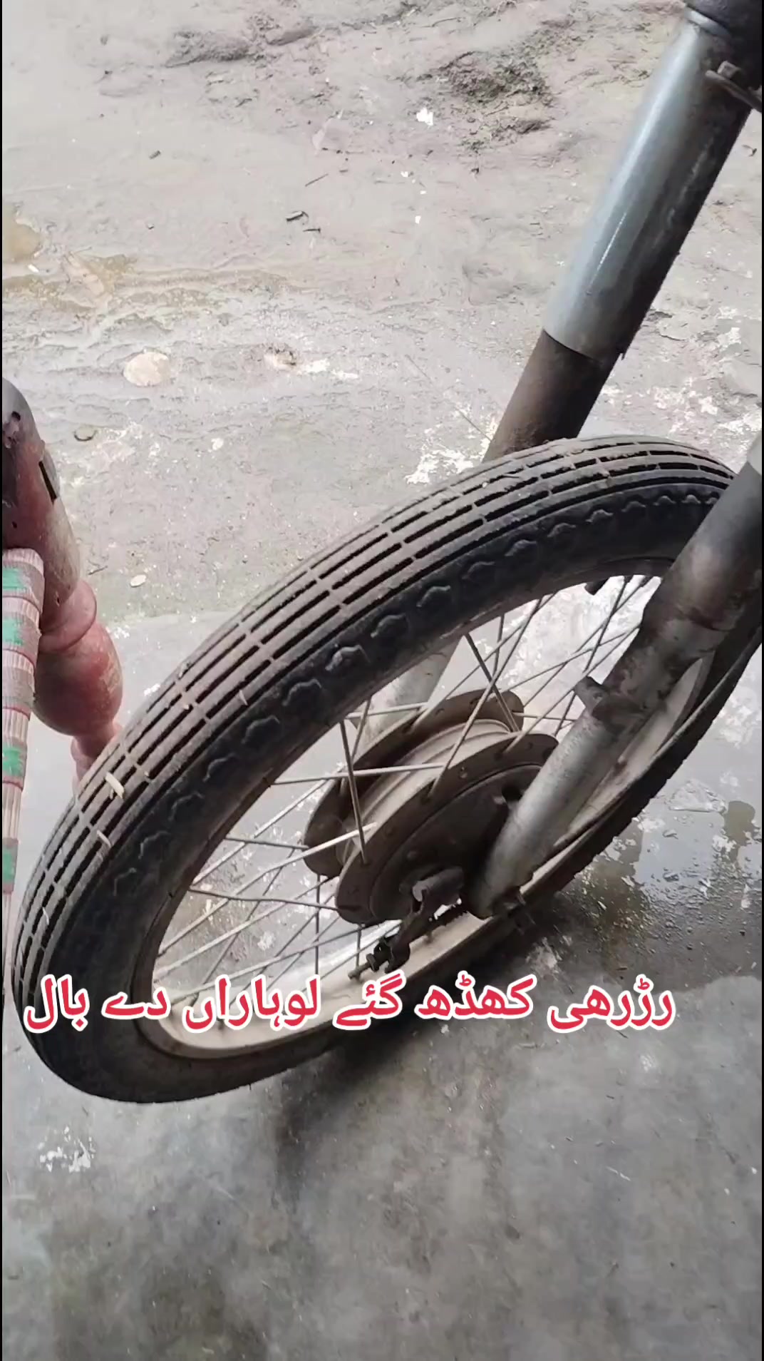 @Kashif bhatti Mandi alla