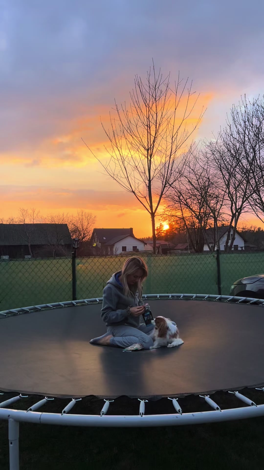 @Lilly Cavalier 🐶