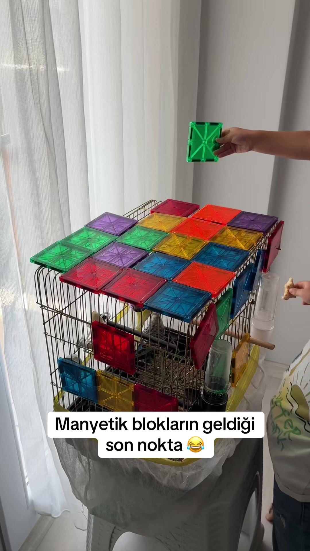 @sennursblogg