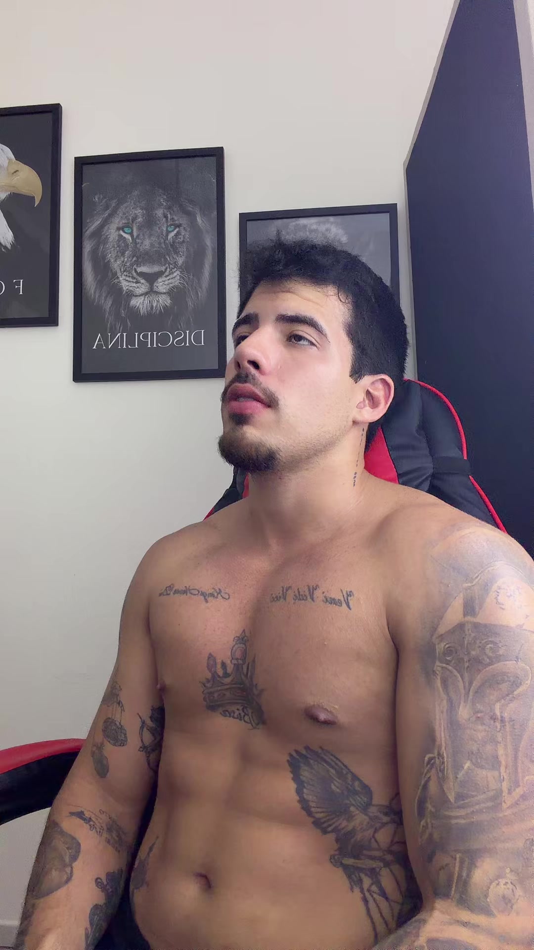 @Raphael Miranda 🦘