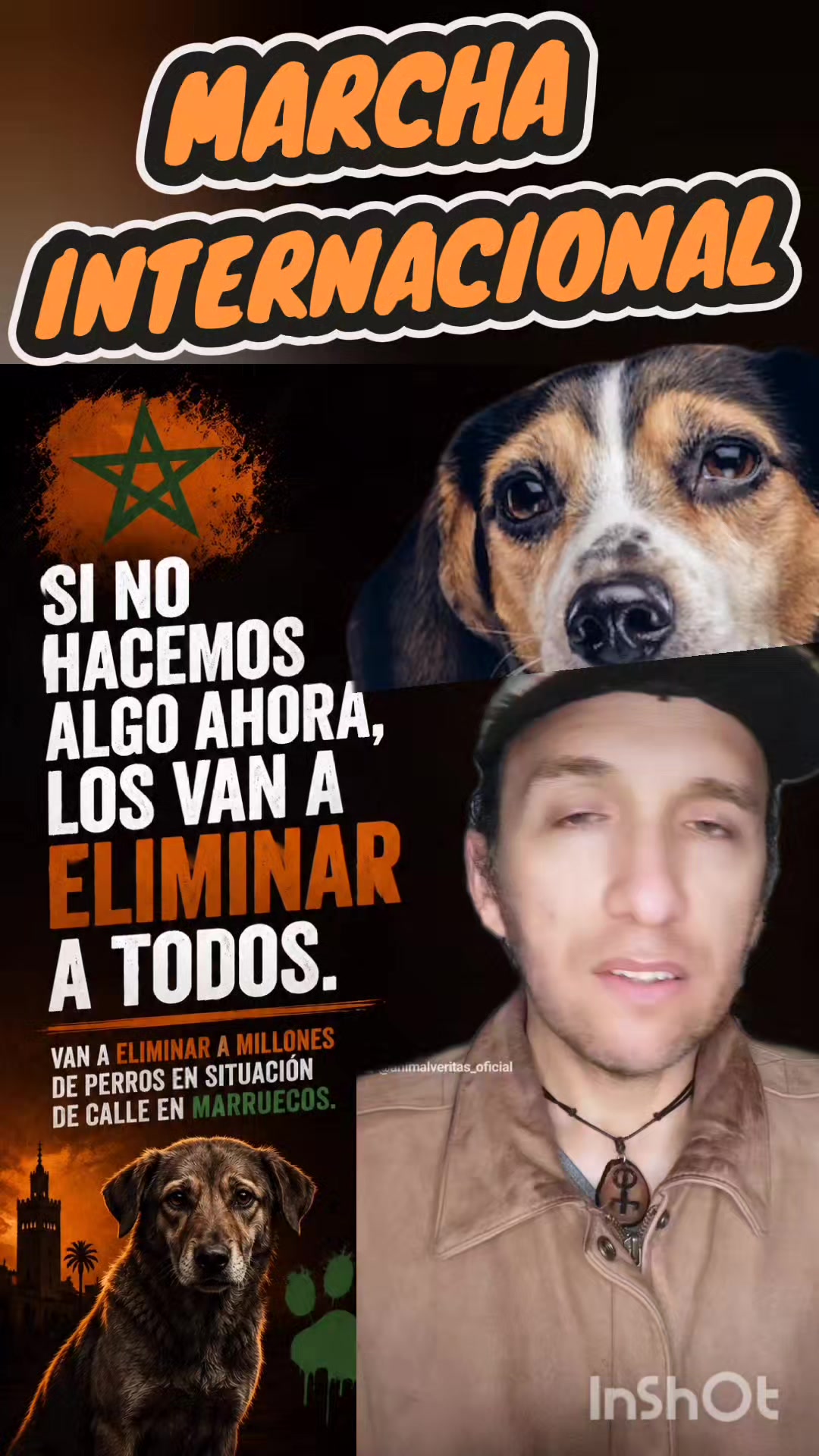 @Animal Veritas