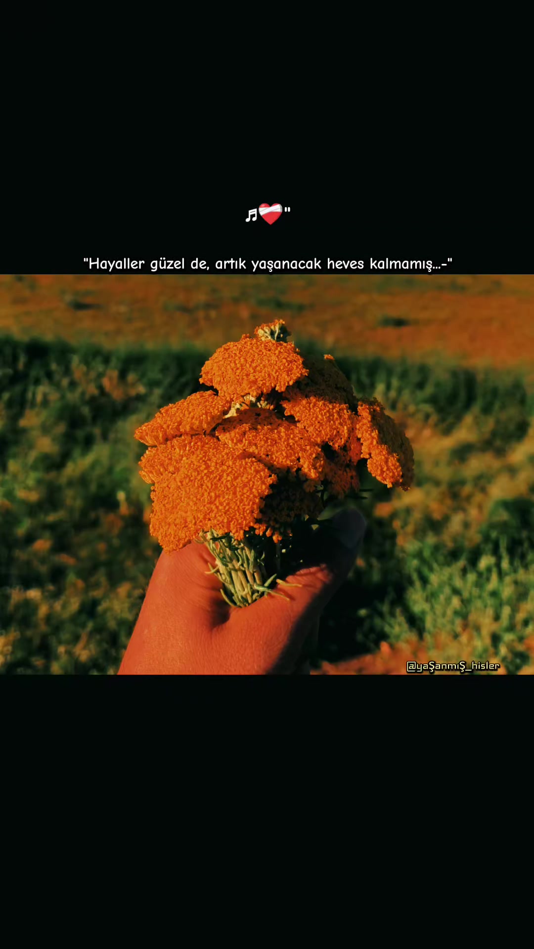 @•ʏᴀꜱ̧ᴀɴᴍɪꜱ̧ ʜɪ̇ꜱʟᴇʀ•