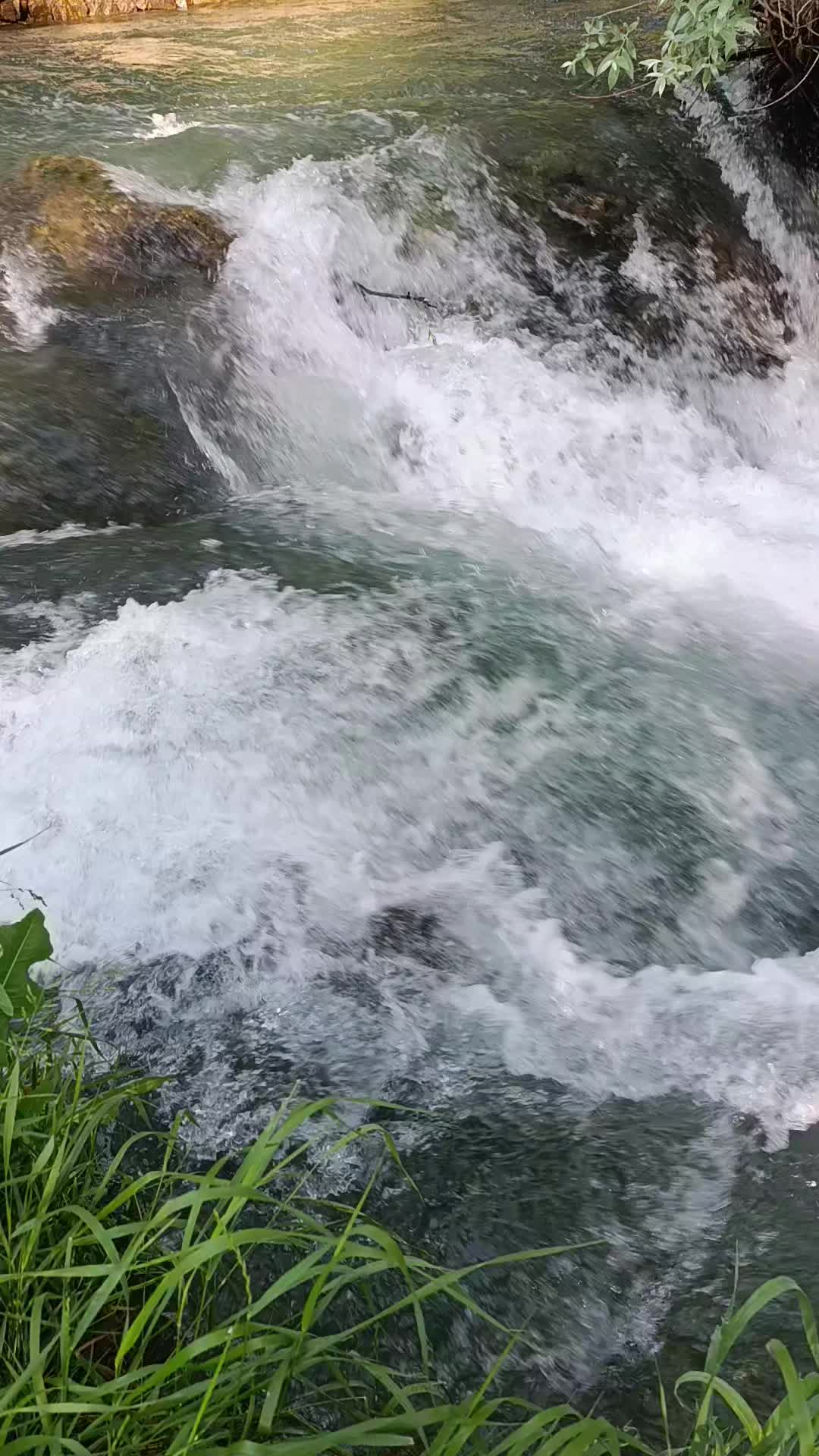 @dygm38