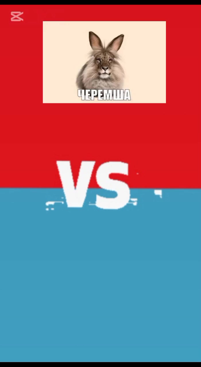 @крыса🐀