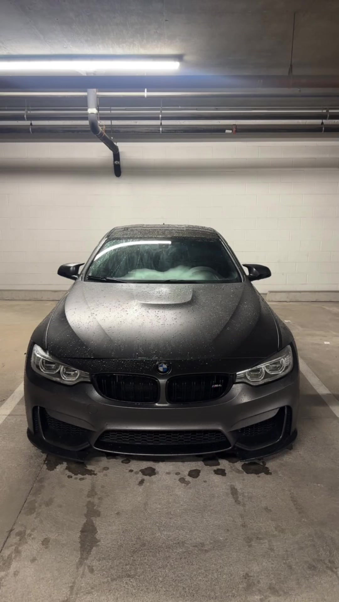 @Dawsonresellz