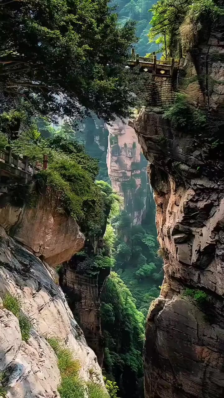 @Lionghoaho