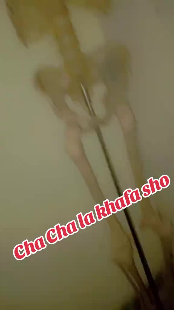 @MAHii LAiLA