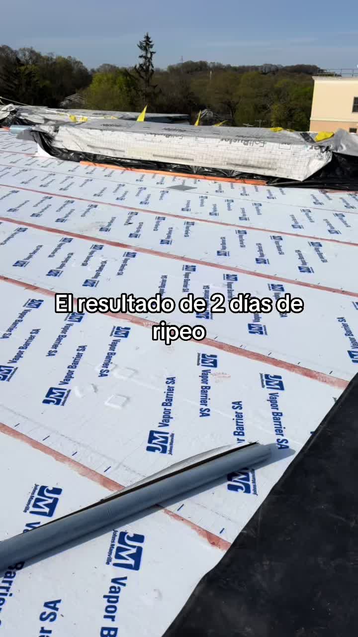 @heber roofer