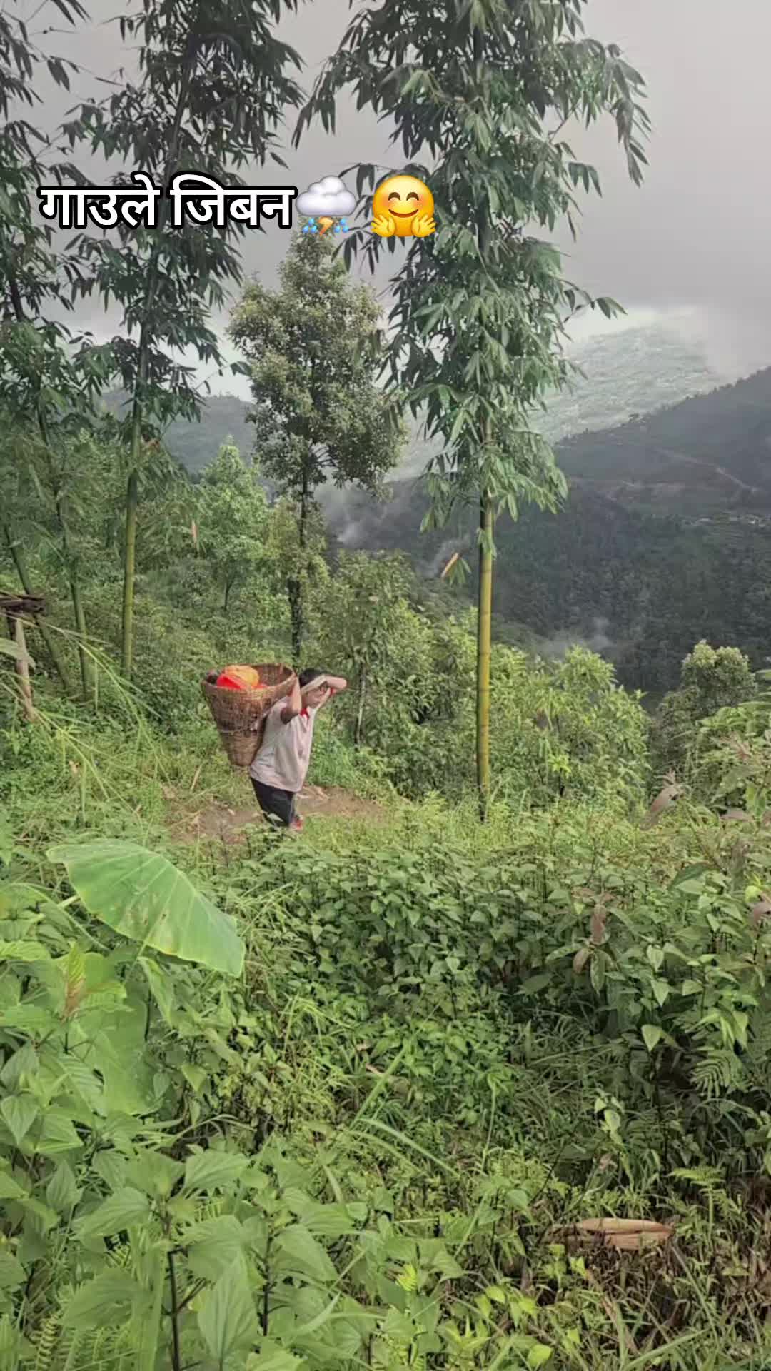 @limbunigirl🦋