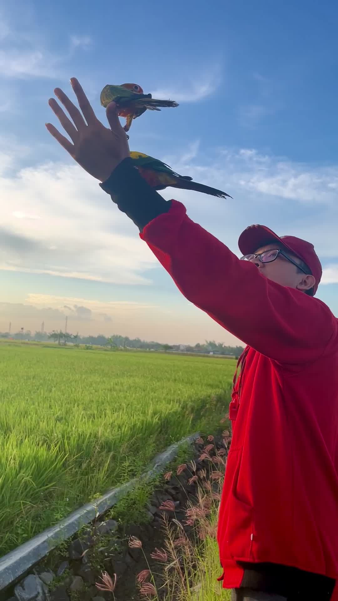 @Kudojiraiya