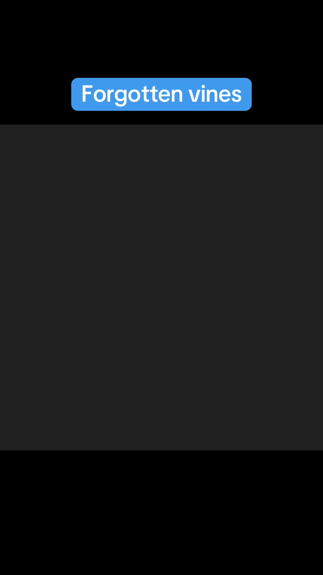 @vinesonlytiktok