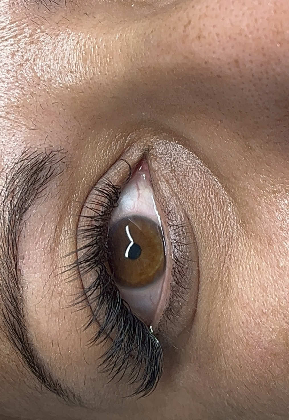 @| EXTENSION DE CILS |👩🏽💻