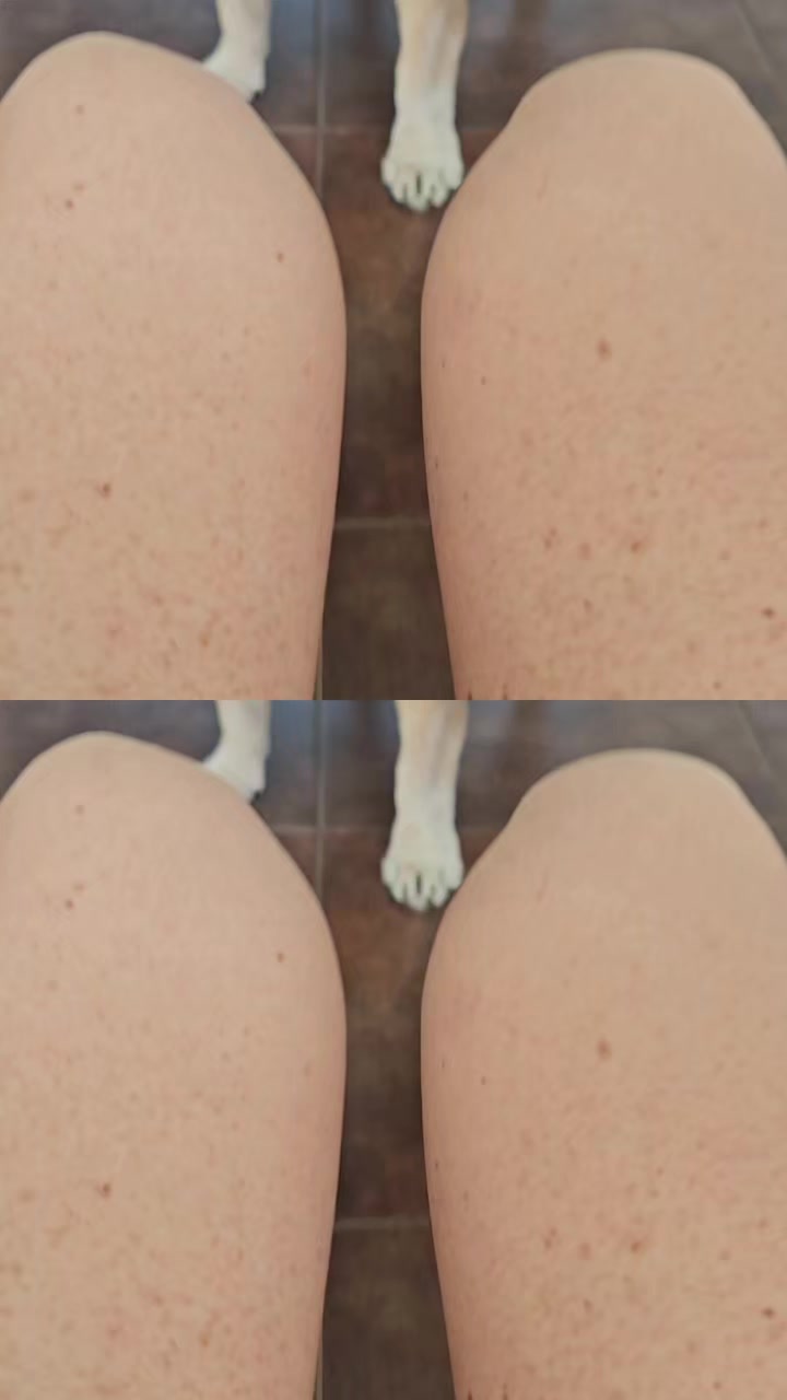 @vidadeperros
