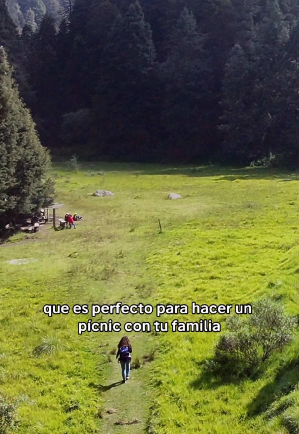@Denisse Gp