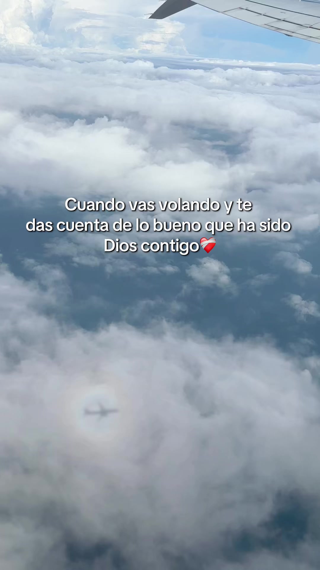 @Tefy