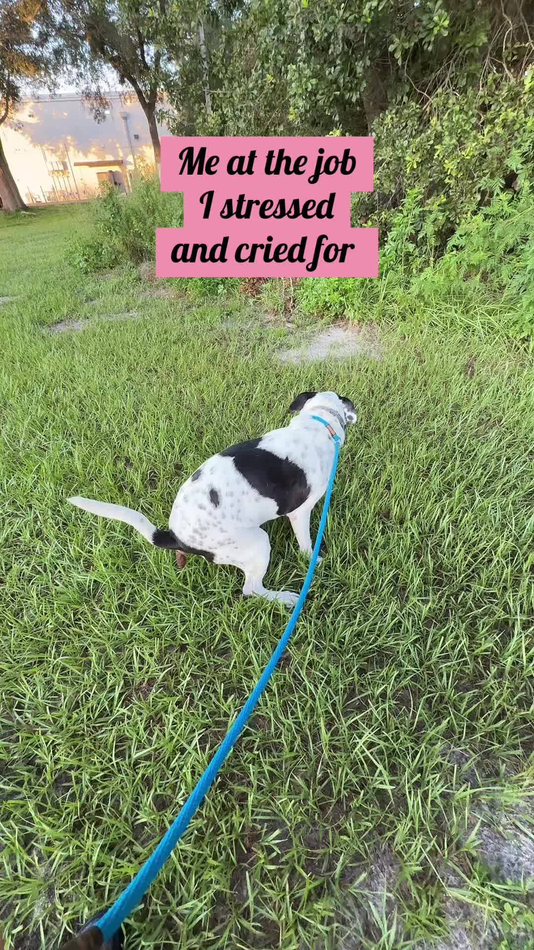 @Anny 🐶🩺🐾