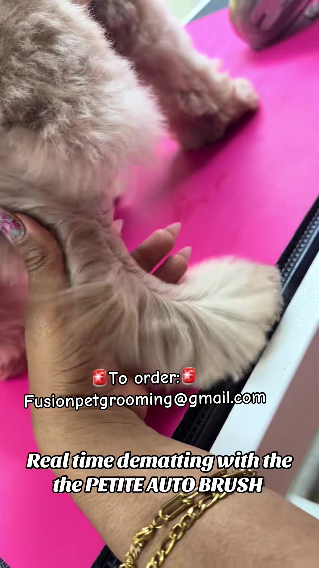 @fusionpetstylez