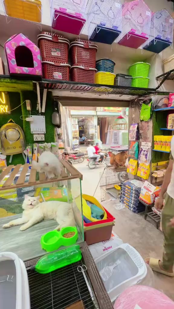 @๐๏ธ SK ๐๏ธ