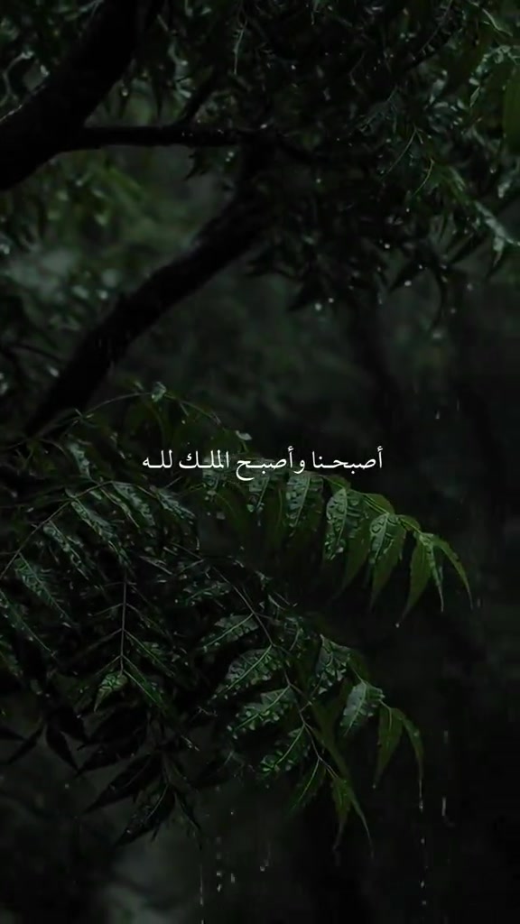 @Mustapha
