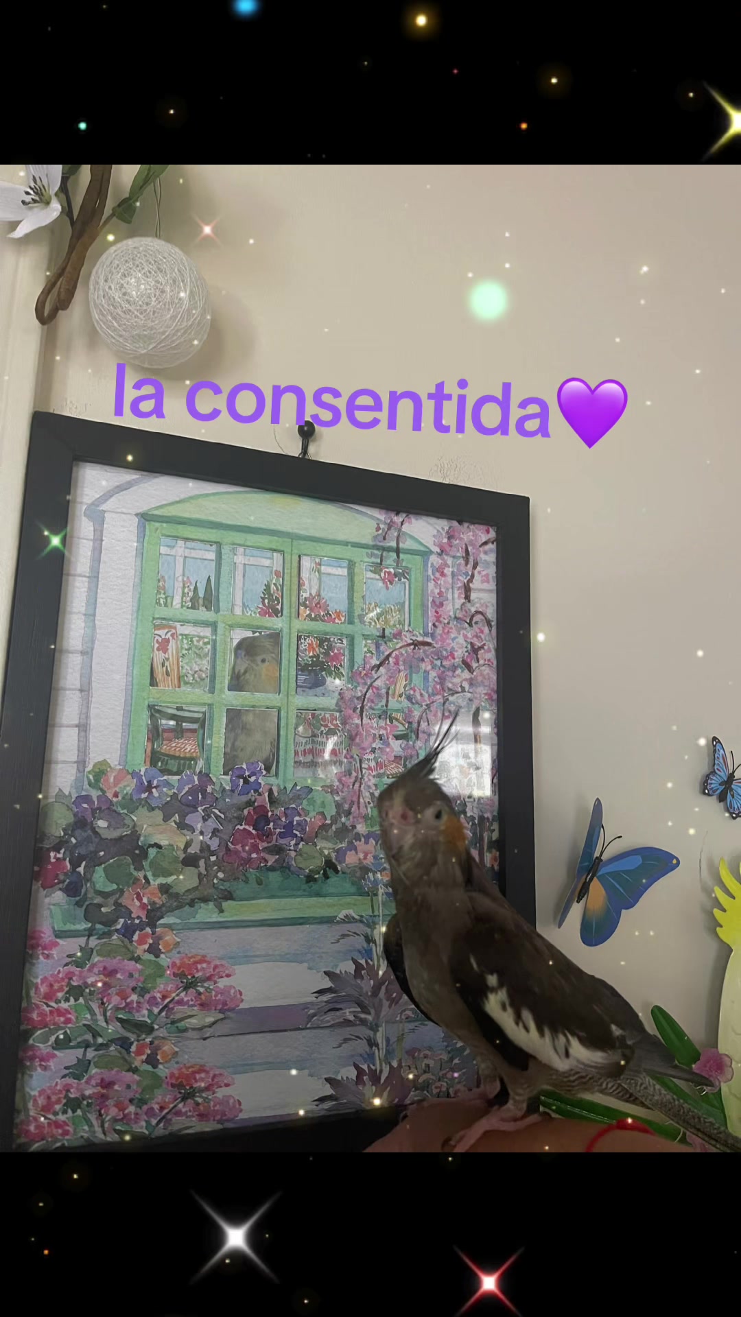 @⋆.˚🦋༘⋆⟭⟬⁷ Nɪᴋɪᴛᴀ JĦ&Oslash;₱Ɇ🐿️🦜