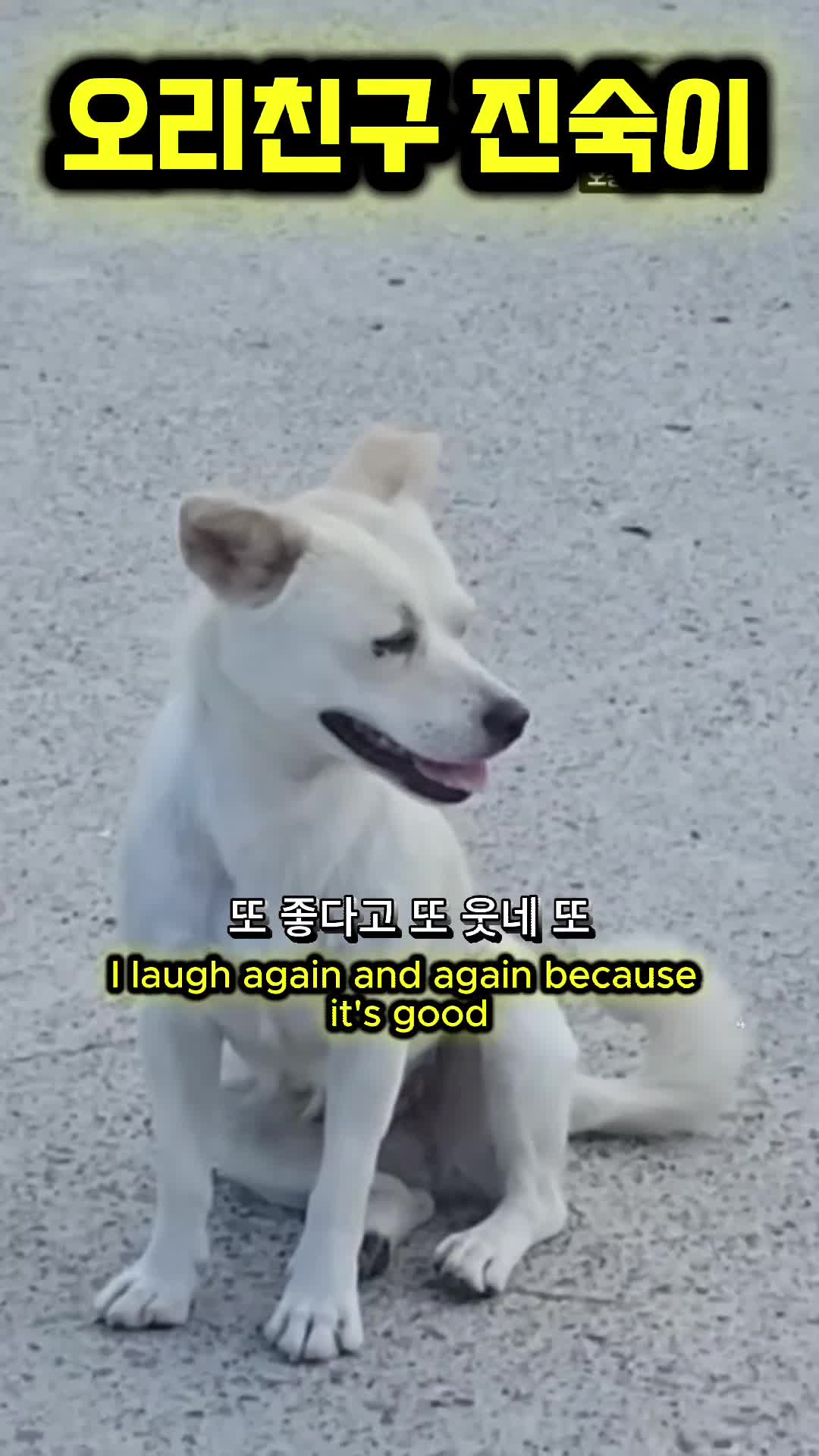 @오리티비