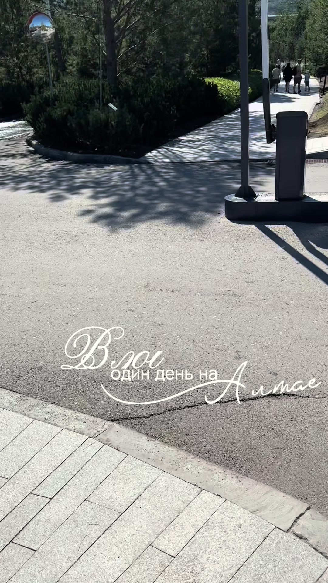 @елизавет