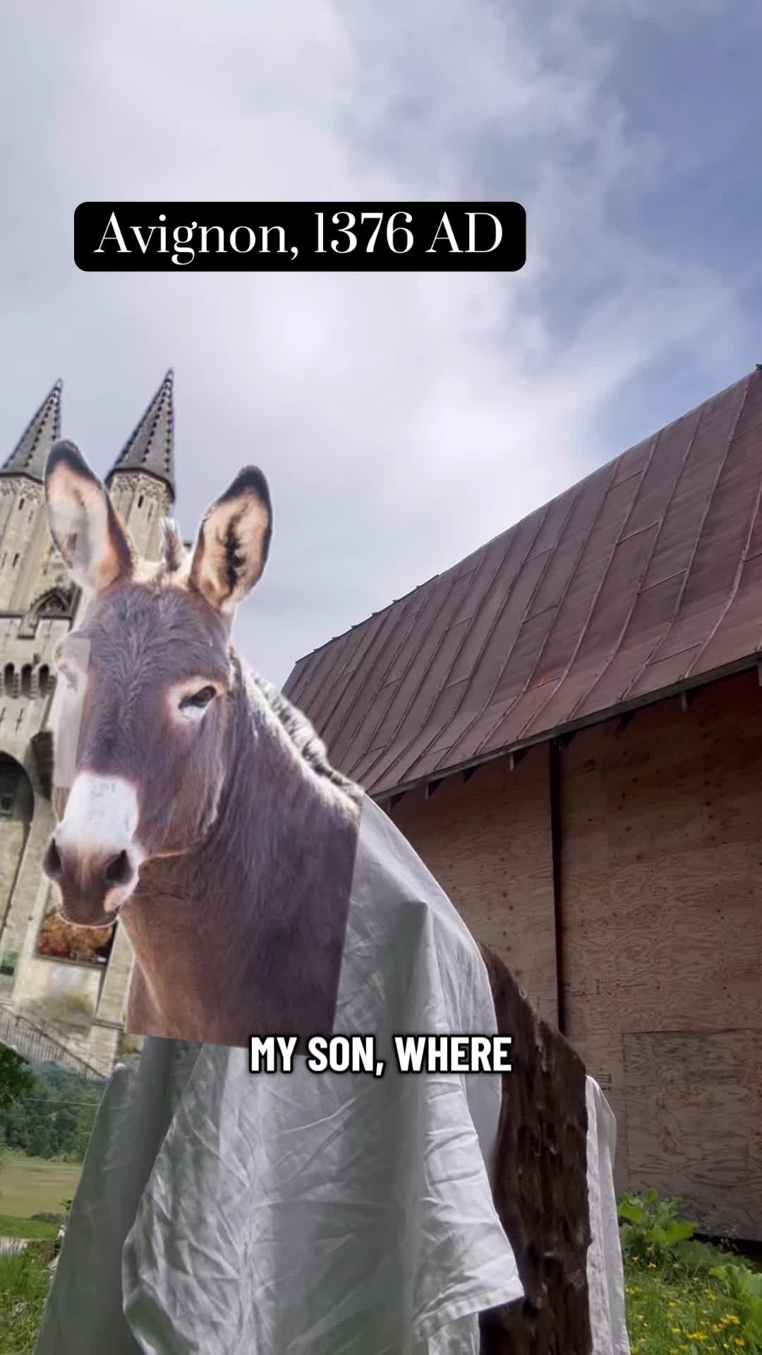 @bigswolemonster69