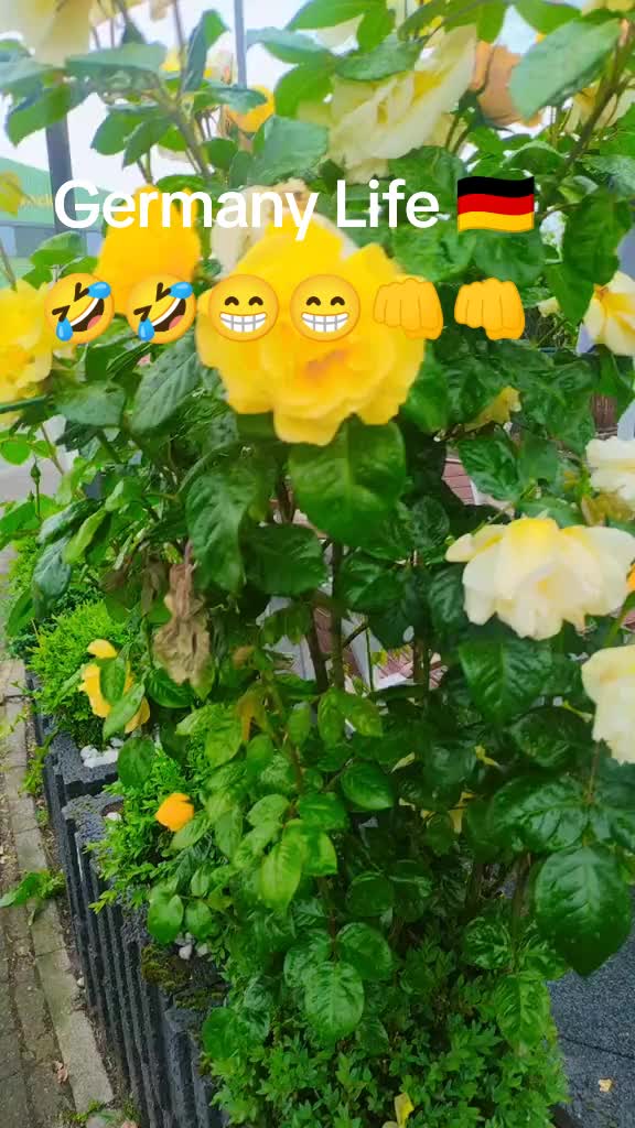@Nabeela Germany 🇩🇪